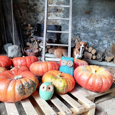 Saint-Georges-Haute-Ville Les Bessonnes Bed & Breakfast エクステリア 写真