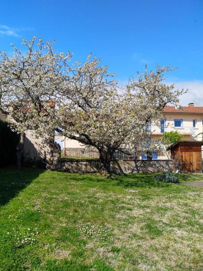 Saint-Georges-Haute-Ville Les Bessonnes Bed & Breakfast エクステリア 写真