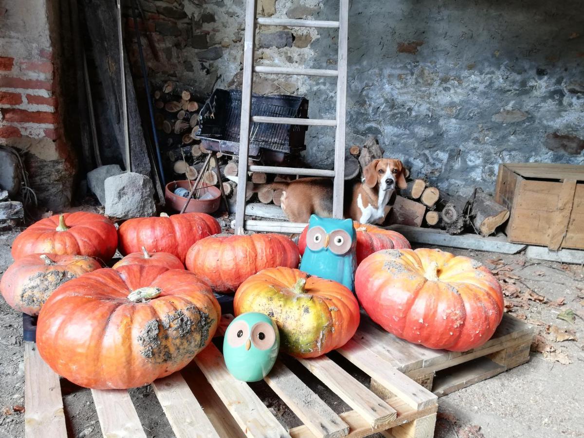 Saint-Georges-Haute-Ville Les Bessonnes Bed & Breakfast エクステリア 写真