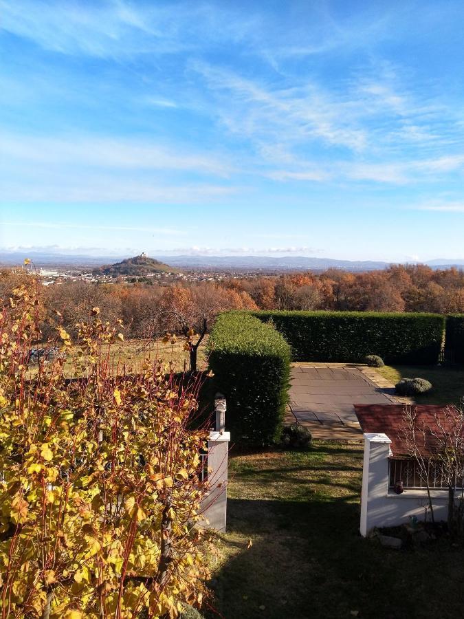 Saint-Georges-Haute-Ville Les Bessonnes Bed & Breakfast エクステリア 写真